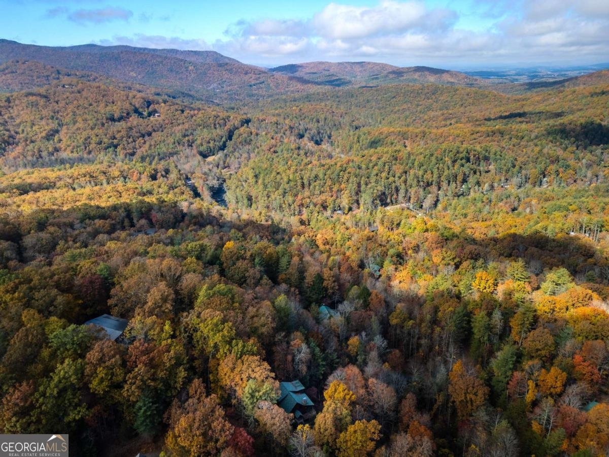 254 Aries Lane Blue Ridge - 40