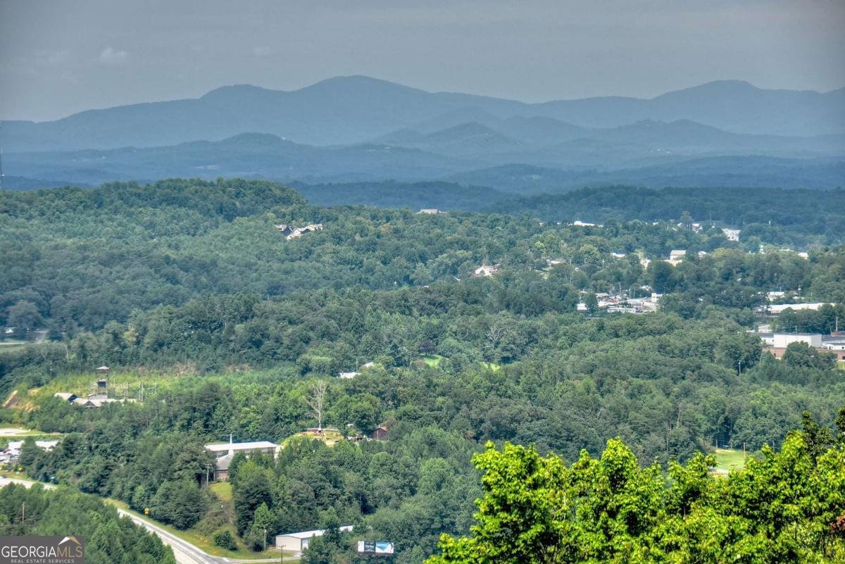 472 Overlook Drive Blue Ridge - 59