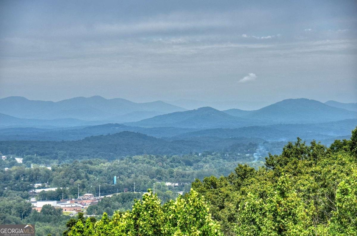 472 Overlook Drive Blue Ridge - 60