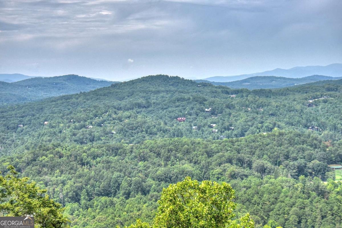 472 Overlook Drive Blue Ridge - 69