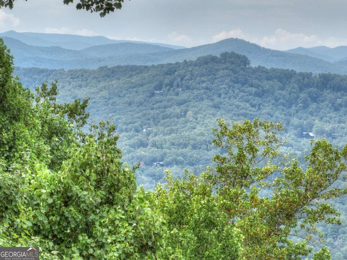 472 Overlook Drive Blue Ridge - 70