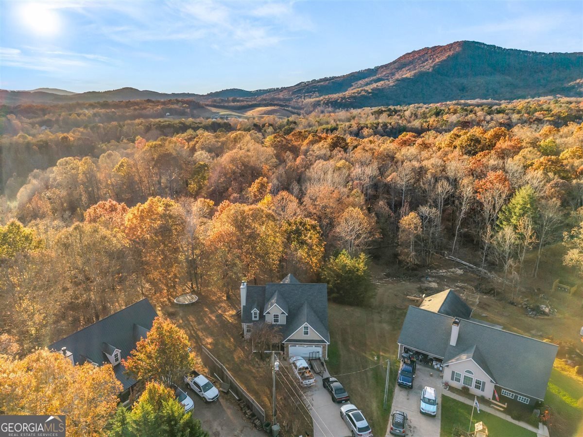 163 Alta Vista Drive Cleveland - 24