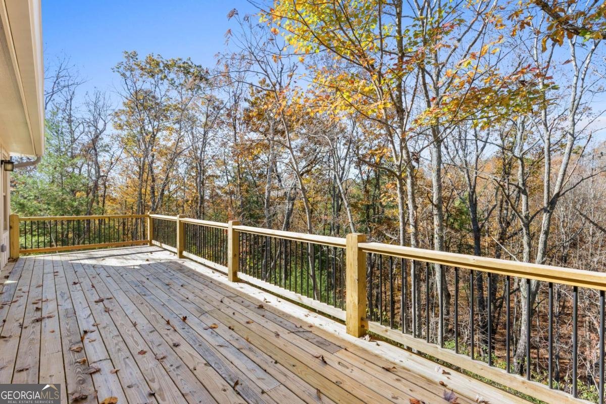 1054 Lakeland Drive Ellijay - 18