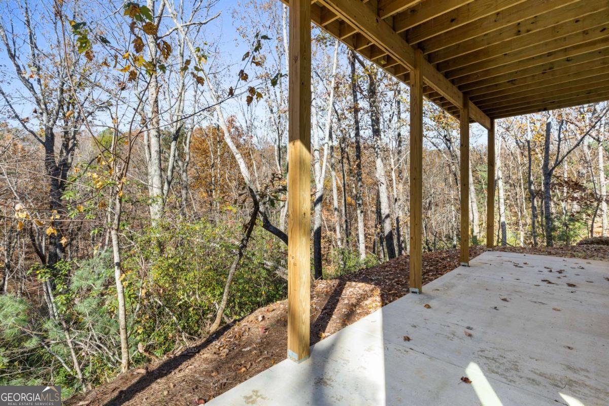 1054 Lakeland Drive Ellijay - 27