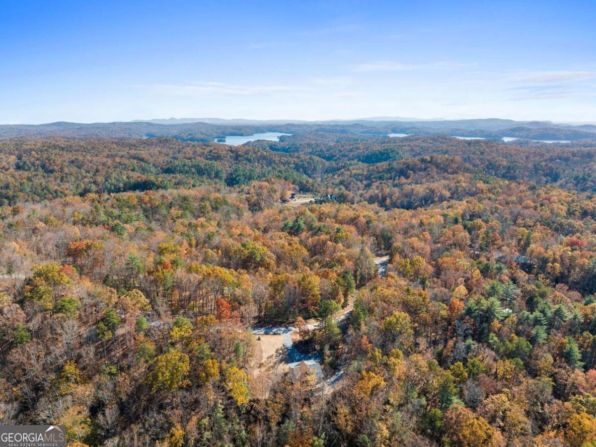 1054 Lakeland Drive Ellijay - 34