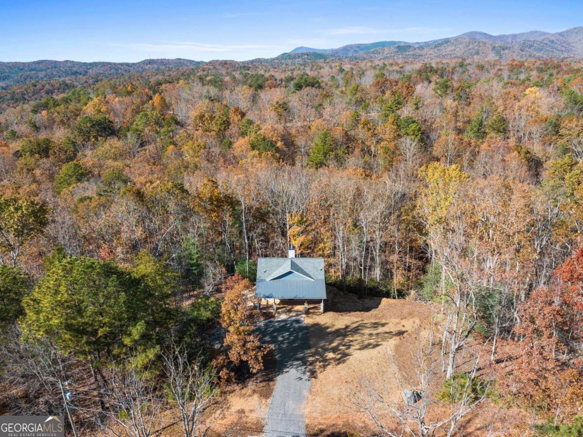 1054 Lakeland Drive Ellijay - 35