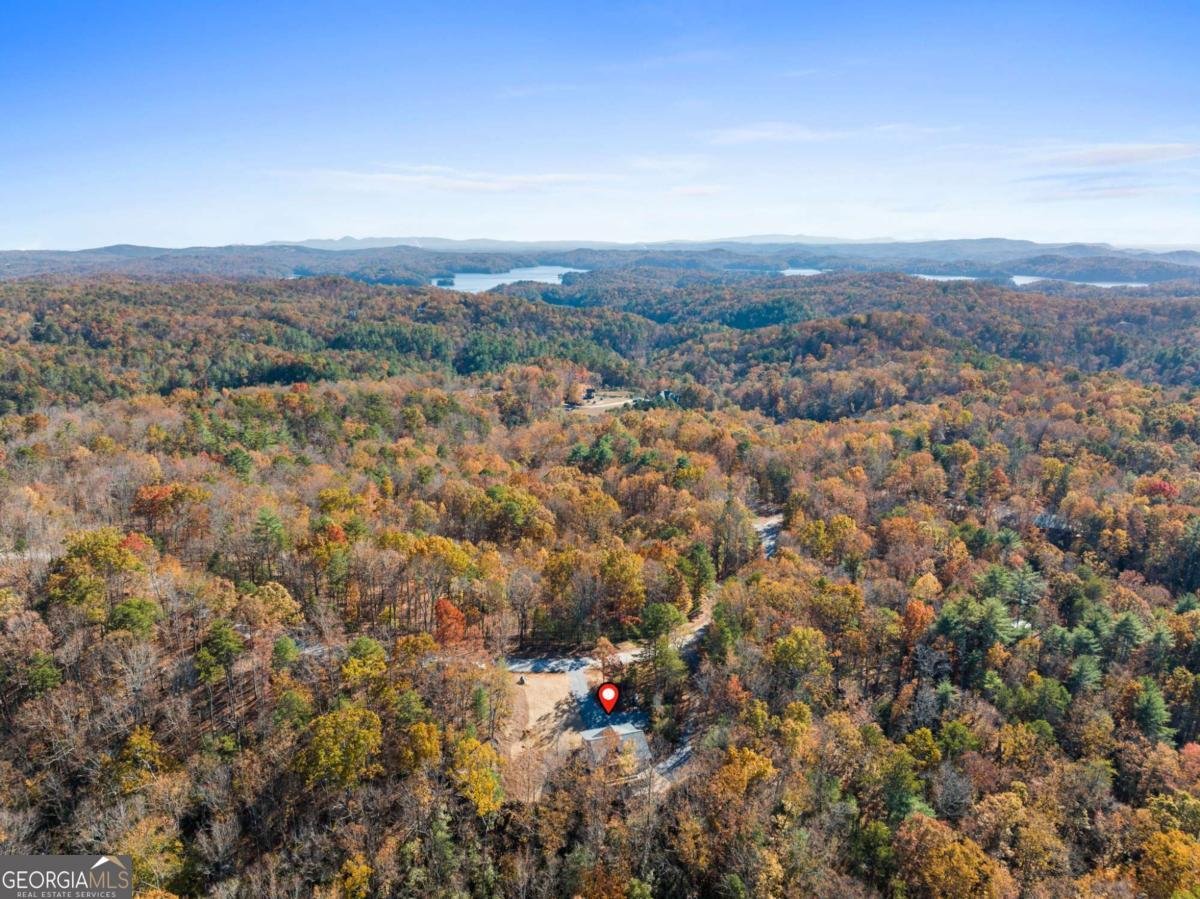 1054 Lakeland Drive Ellijay - 36