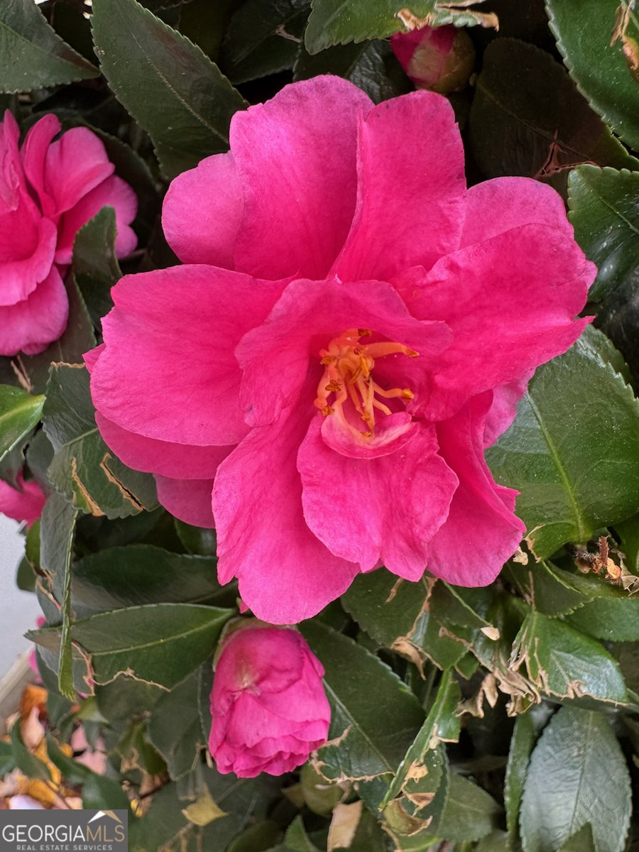 2095 Eagle Nest Bluff Lawrenceville - 28