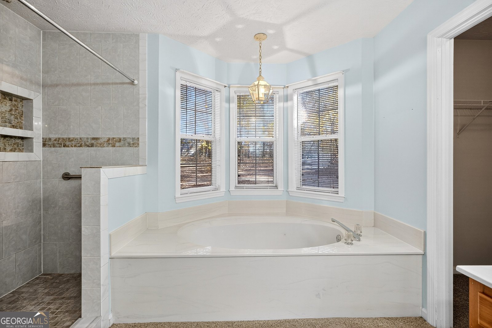 909 Lawshe Road Senoia - 17