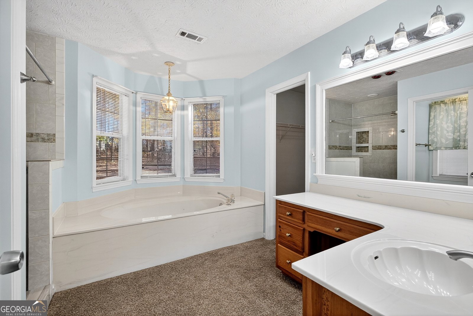 909 Lawshe Road Senoia - 18