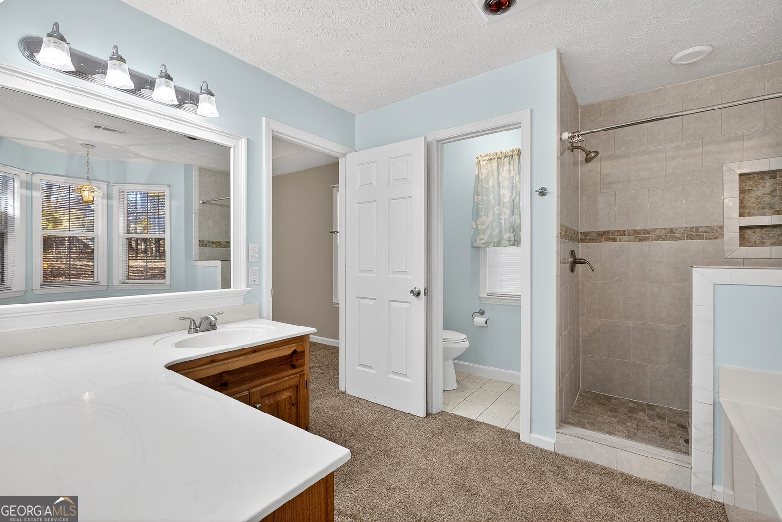 909 Lawshe Road Senoia - 19