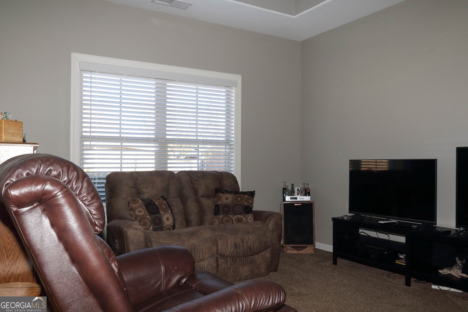 107 Westchester Trail Kathleen - 23