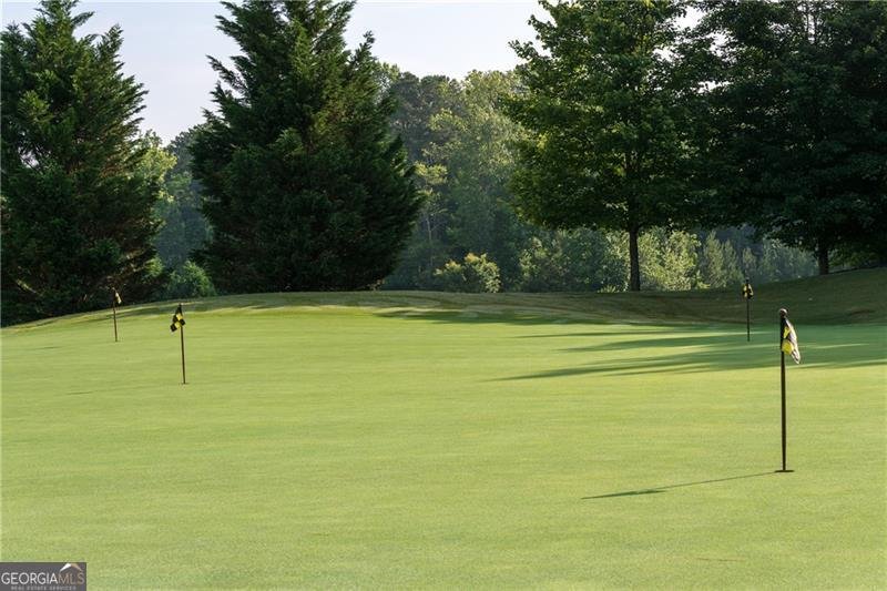 3940 Cottage Park Court Alpharetta - 75