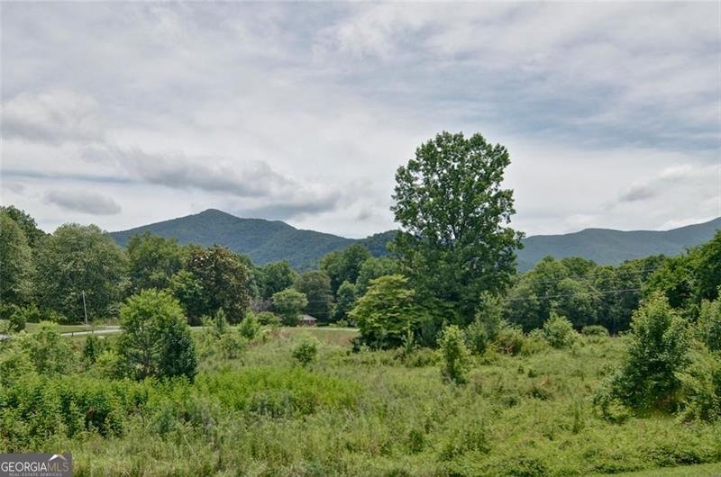 2165 TOWNSEND MILL Road Young Harris - 37