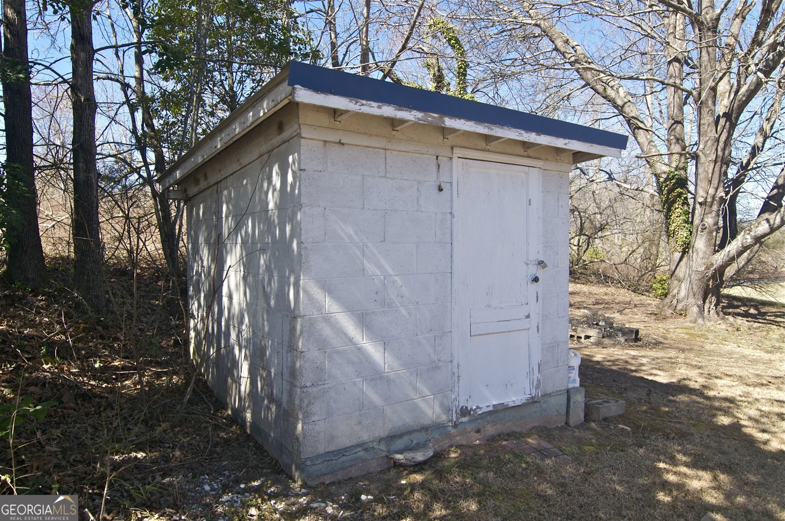 2165 TOWNSEND MILL Road Young Harris - 38