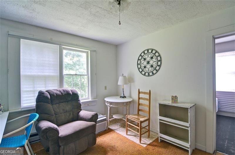 2165 TOWNSEND MILL Road Young Harris - 8