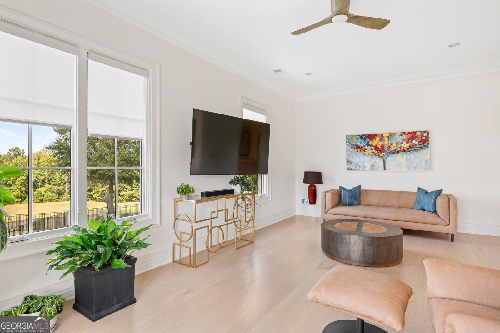 3565 Granton Street Alpharetta - 27