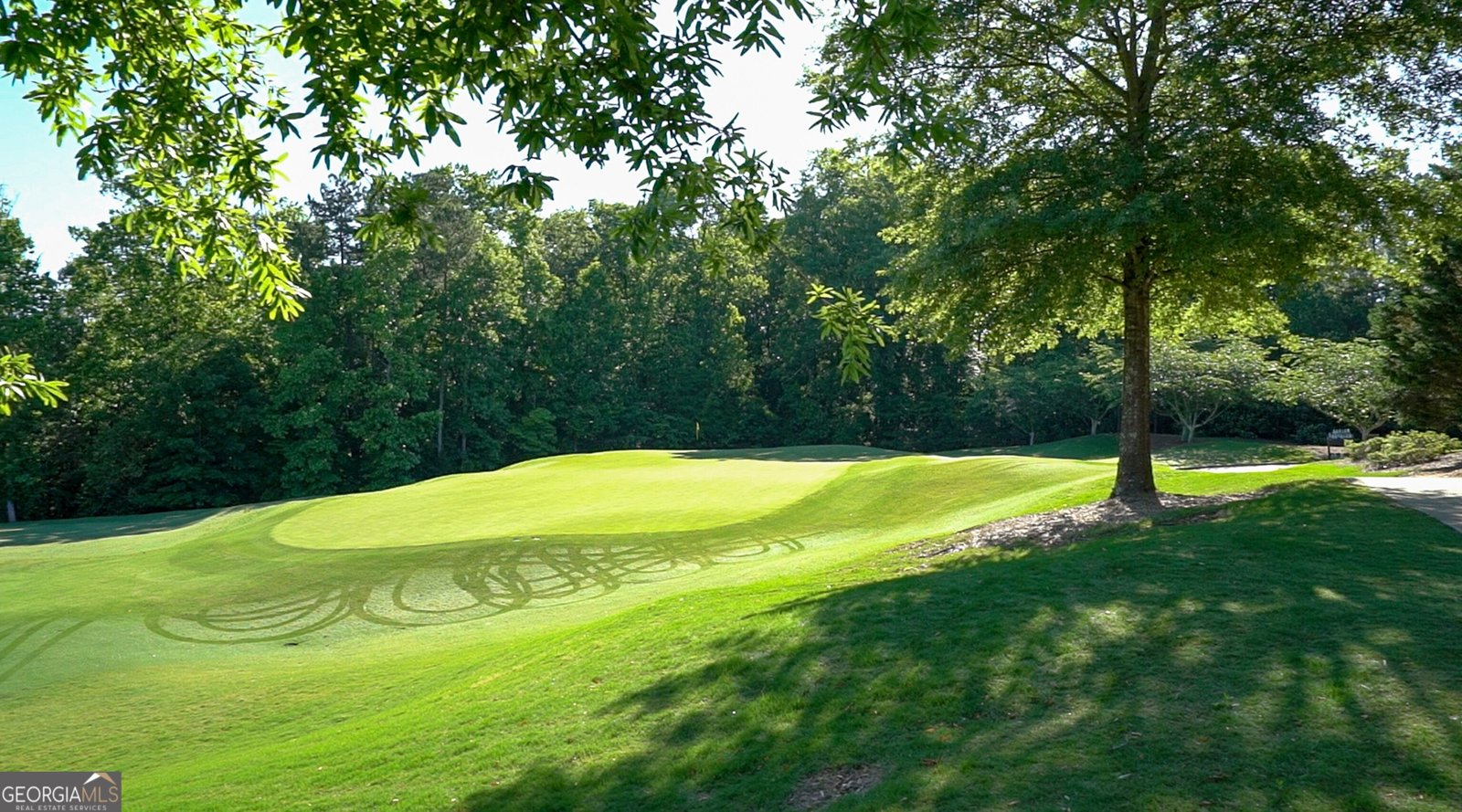 3565 Granton Street Alpharetta - 57