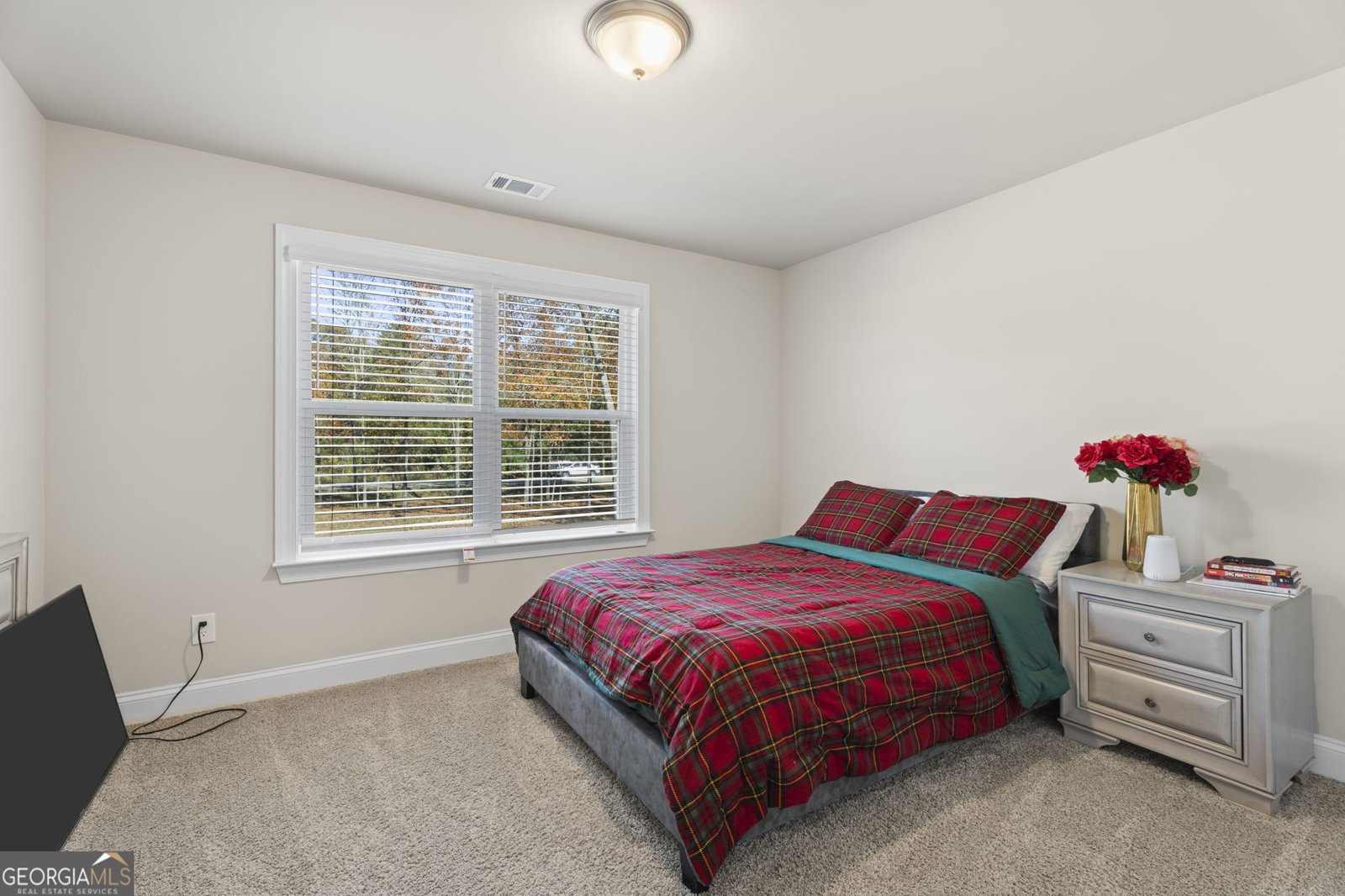 656 East Lake Road McDonough - 28