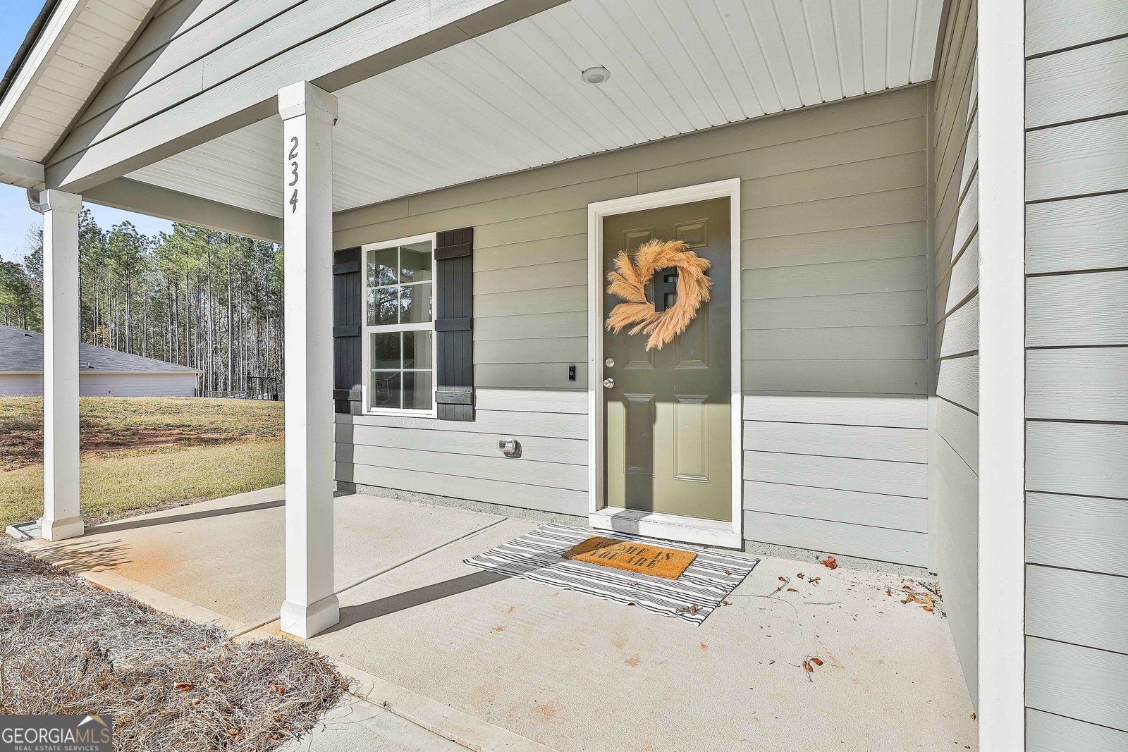 234 R L Parker Drive Luthersville - 2