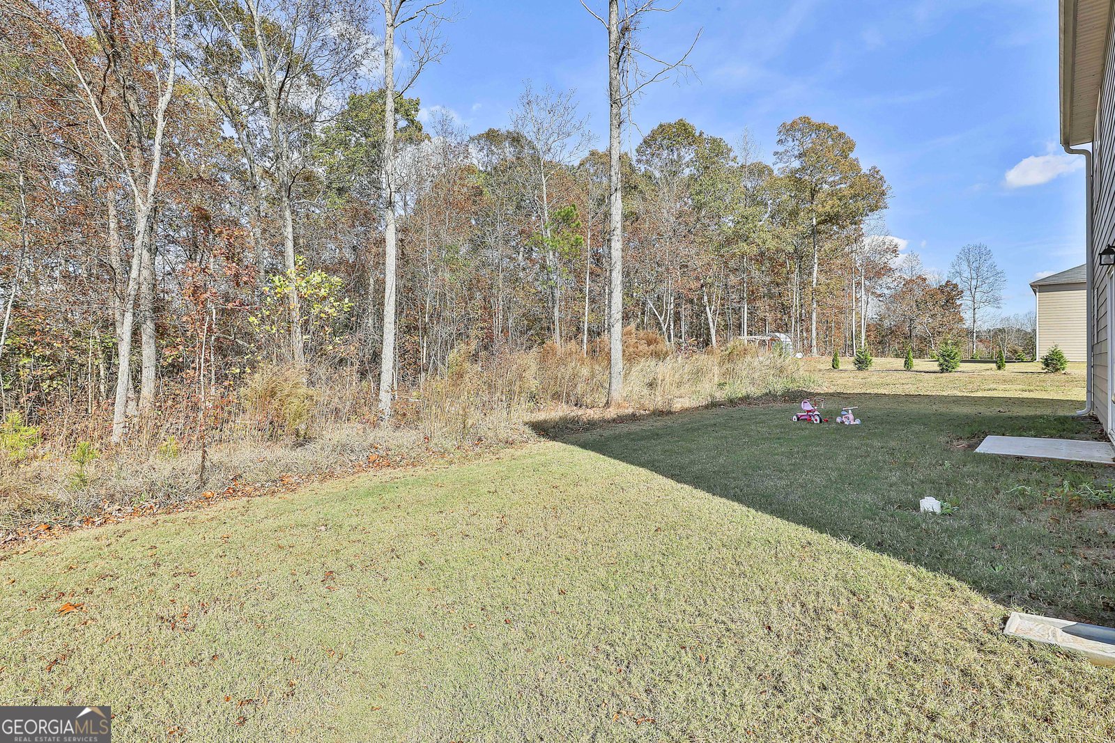 234 R L Parker Drive Luthersville - 26