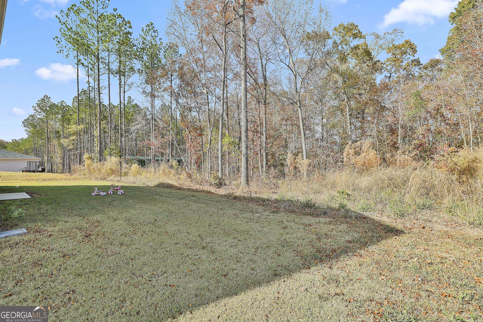 234 R L Parker Drive Luthersville - 30