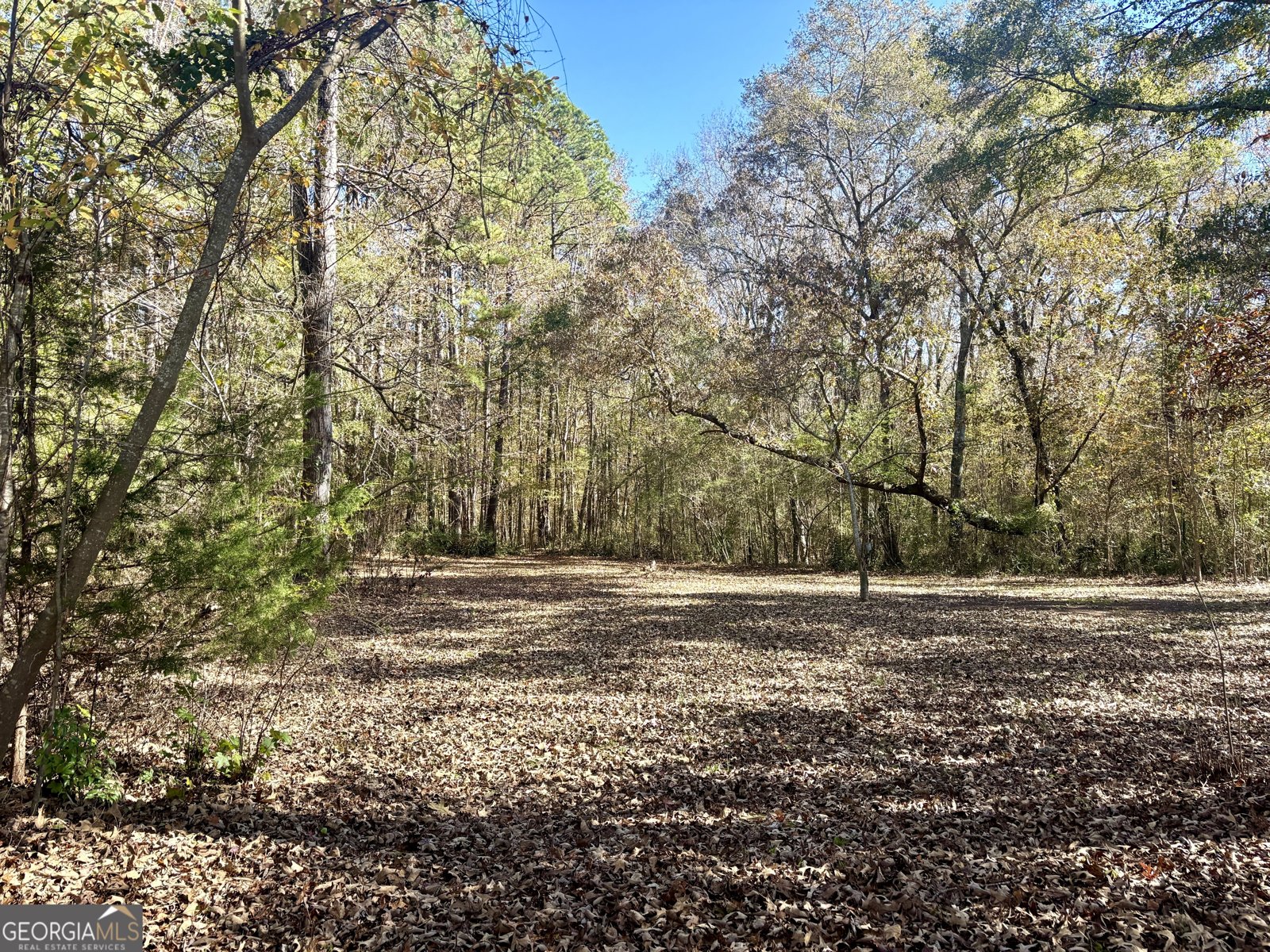 579 Barnesville Road Griffin - 48