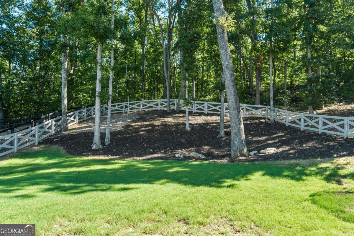 8530 Scenic Ridge Way Ball Ground - 35