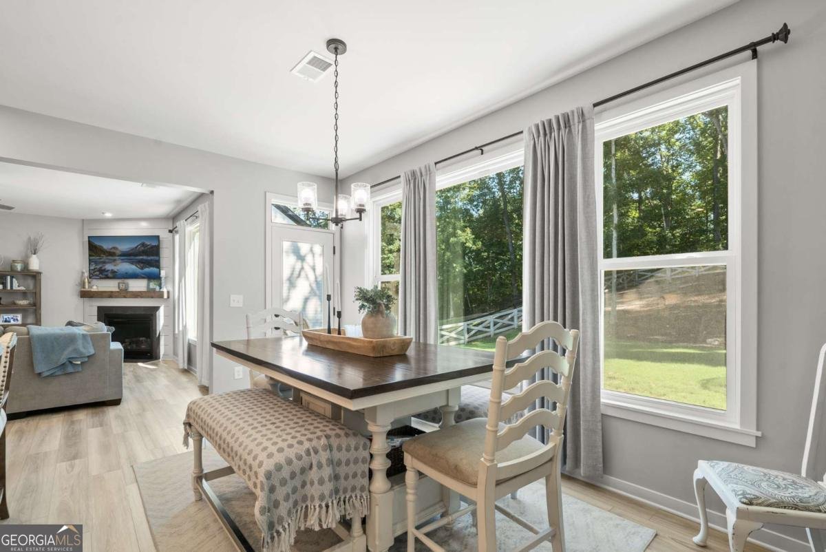 8530 Scenic Ridge Way Ball Ground - 7