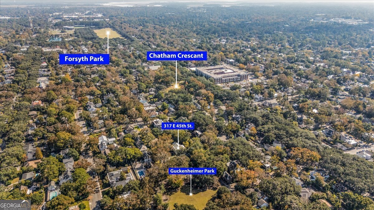 317 45th Street Savannah - 90