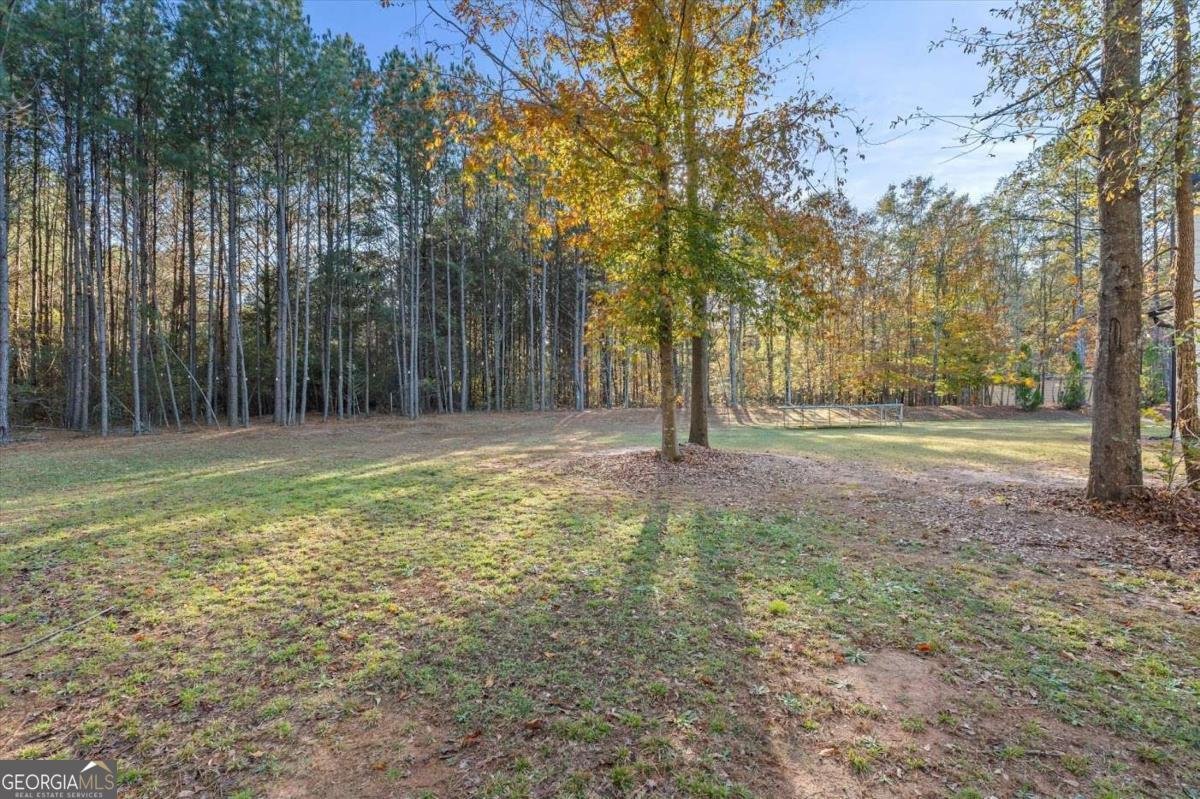 1015 Mote Road Carrollton - 55