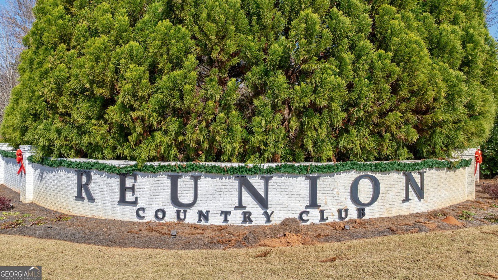 7208 Ivey Leaf Lane Hoschton - 3