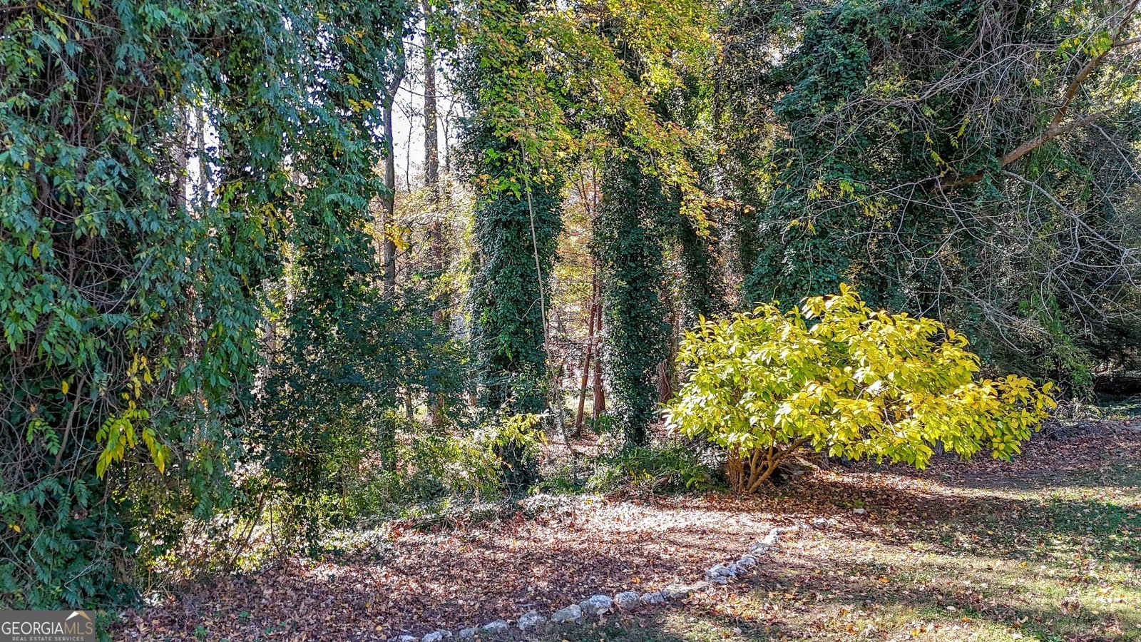 9 Wellington Way Rome - 38