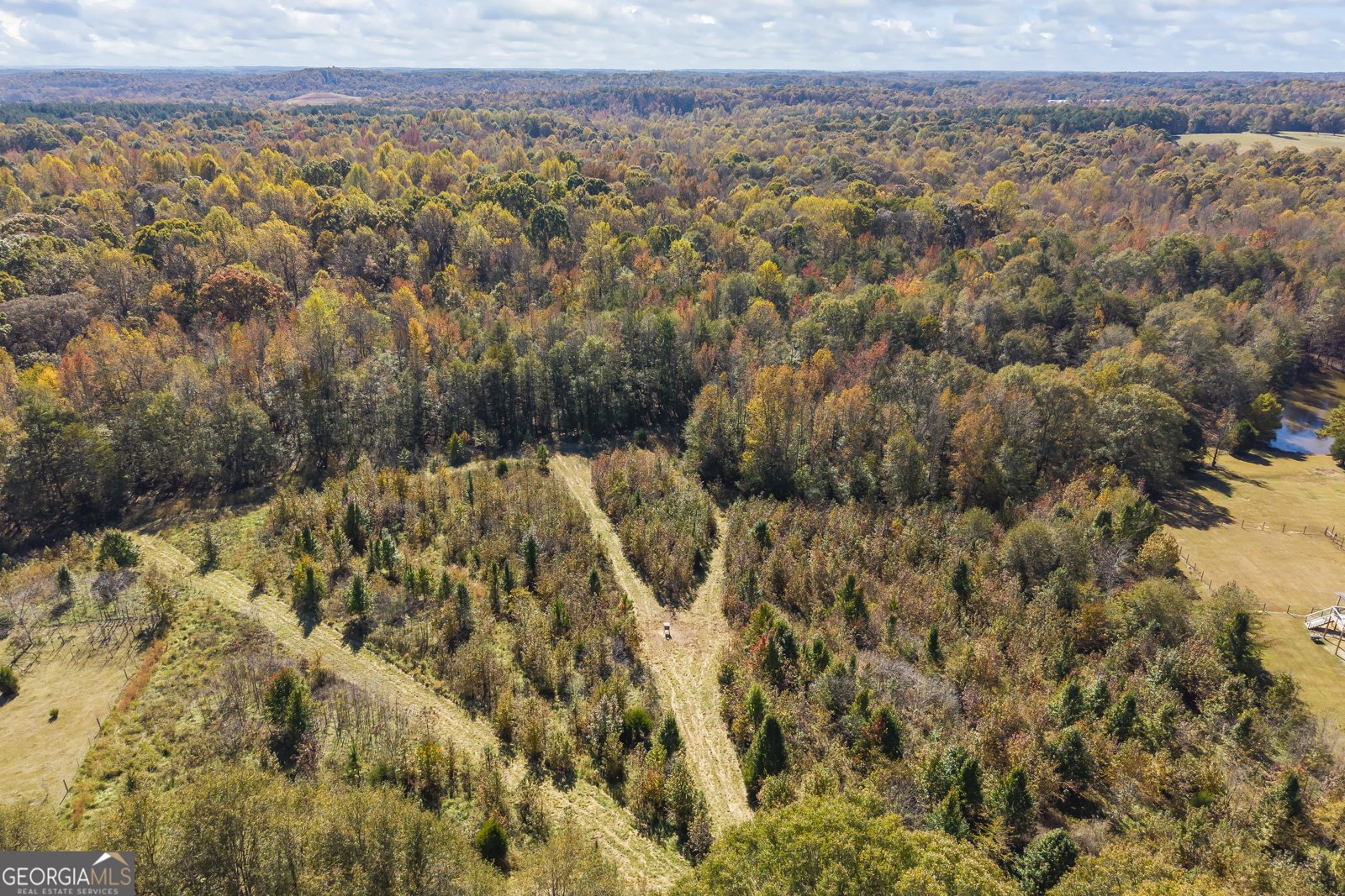 4001 Highway 198 Carnesville - 15