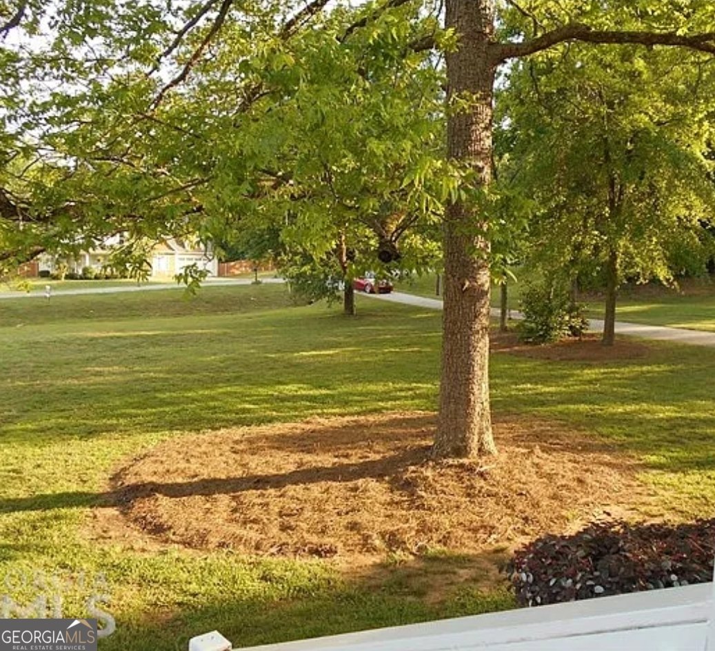 253 River Road McDonough - 7