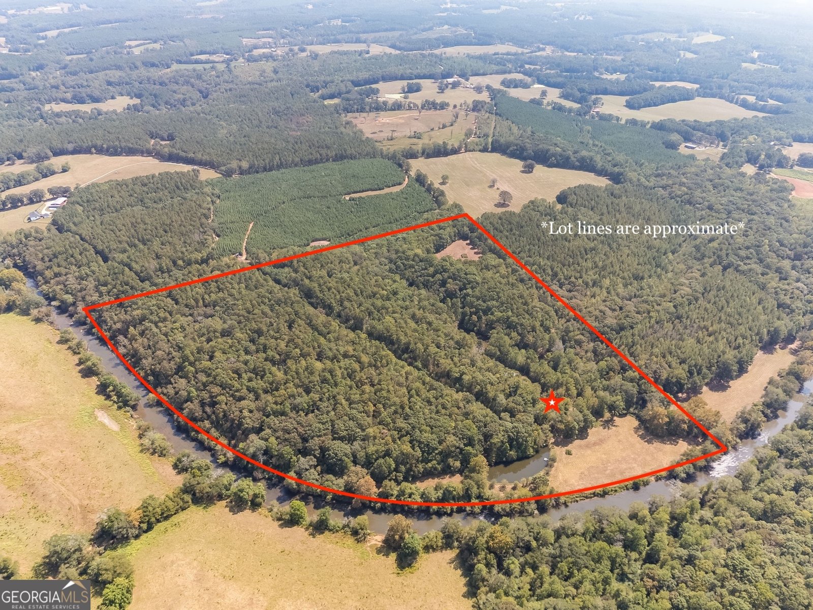 491 County Road 511 Woodland - main photo