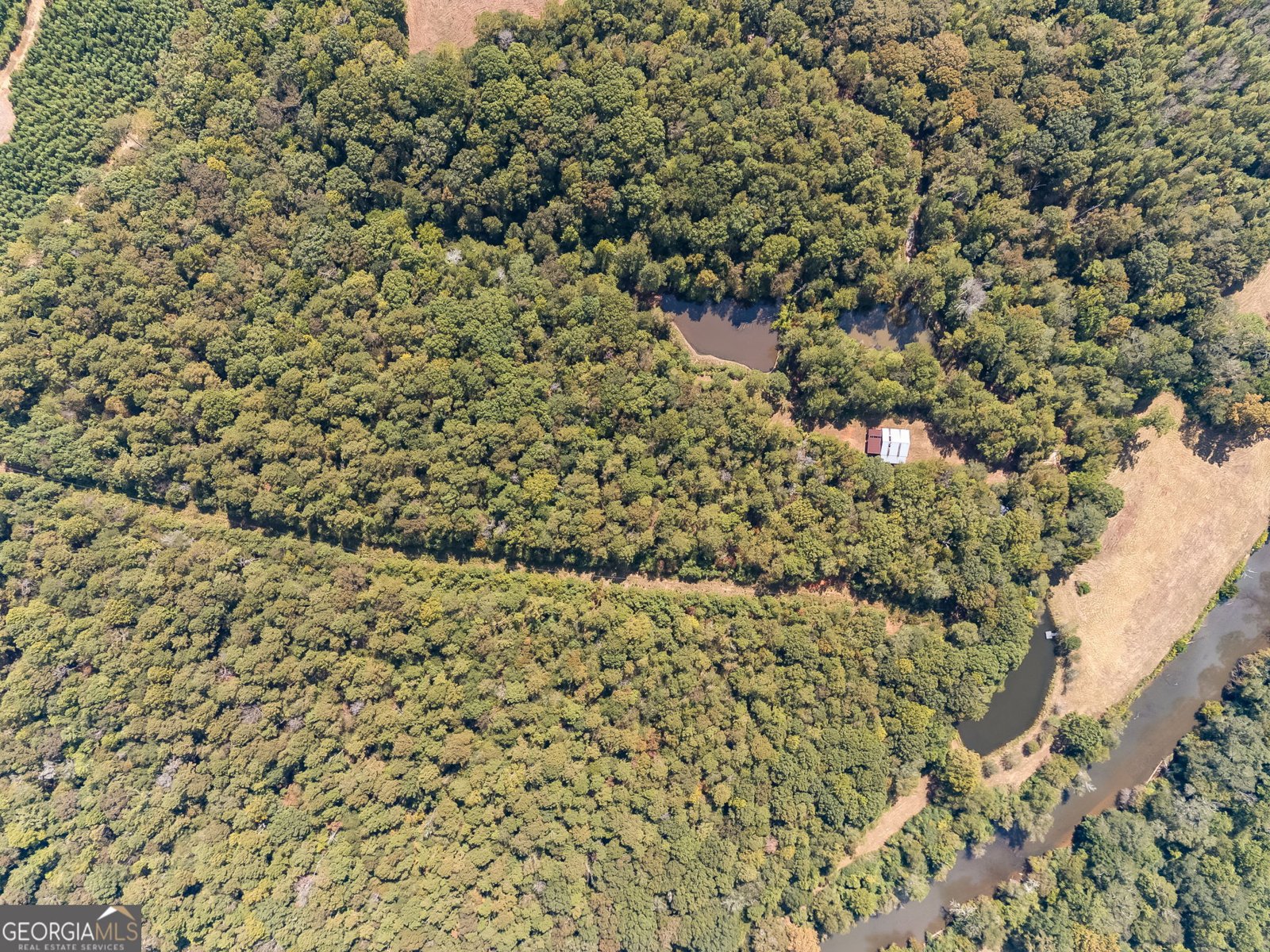 491 County Road 511 Woodland - 28