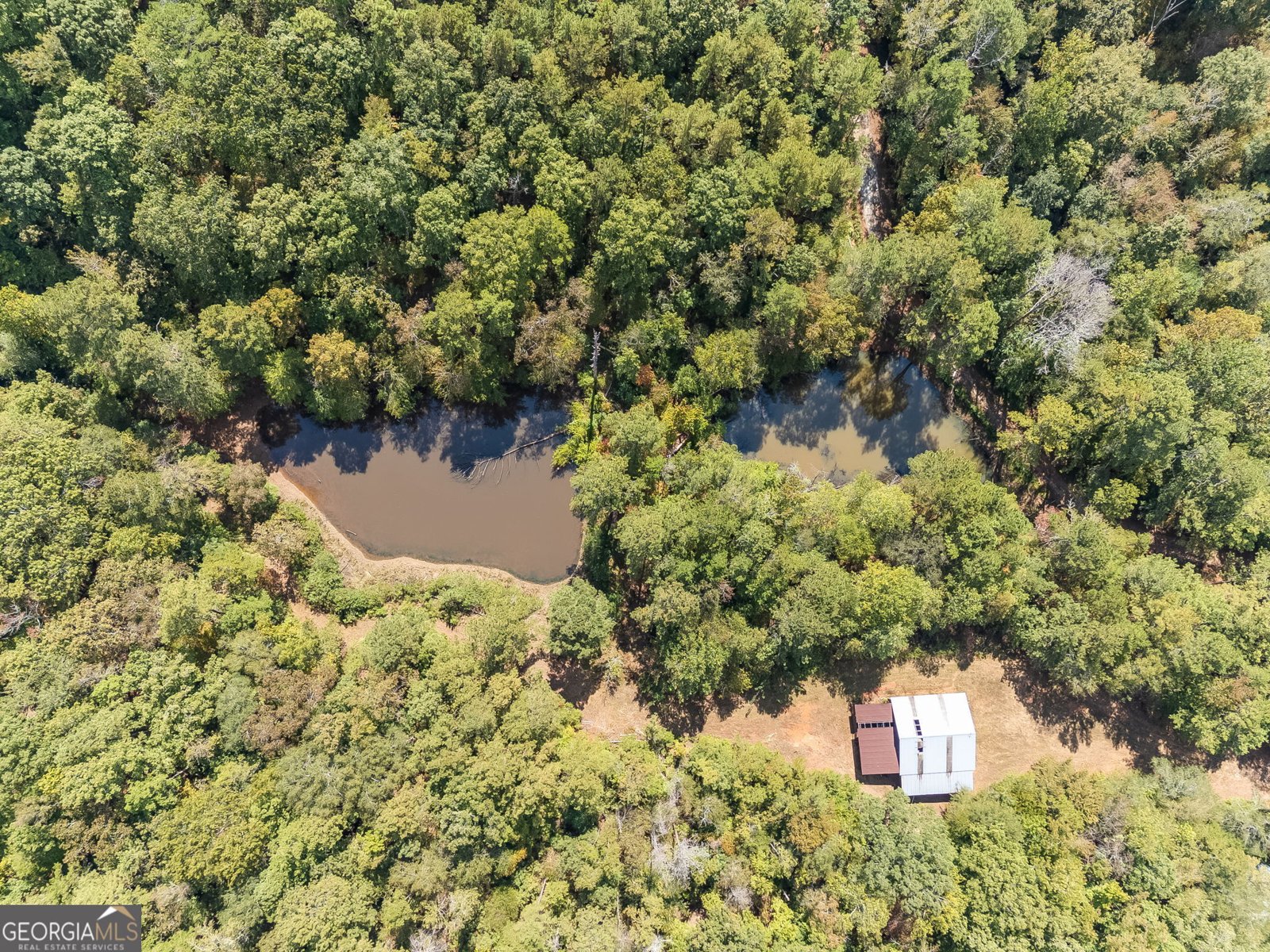 491 County Road 511 Woodland - 30