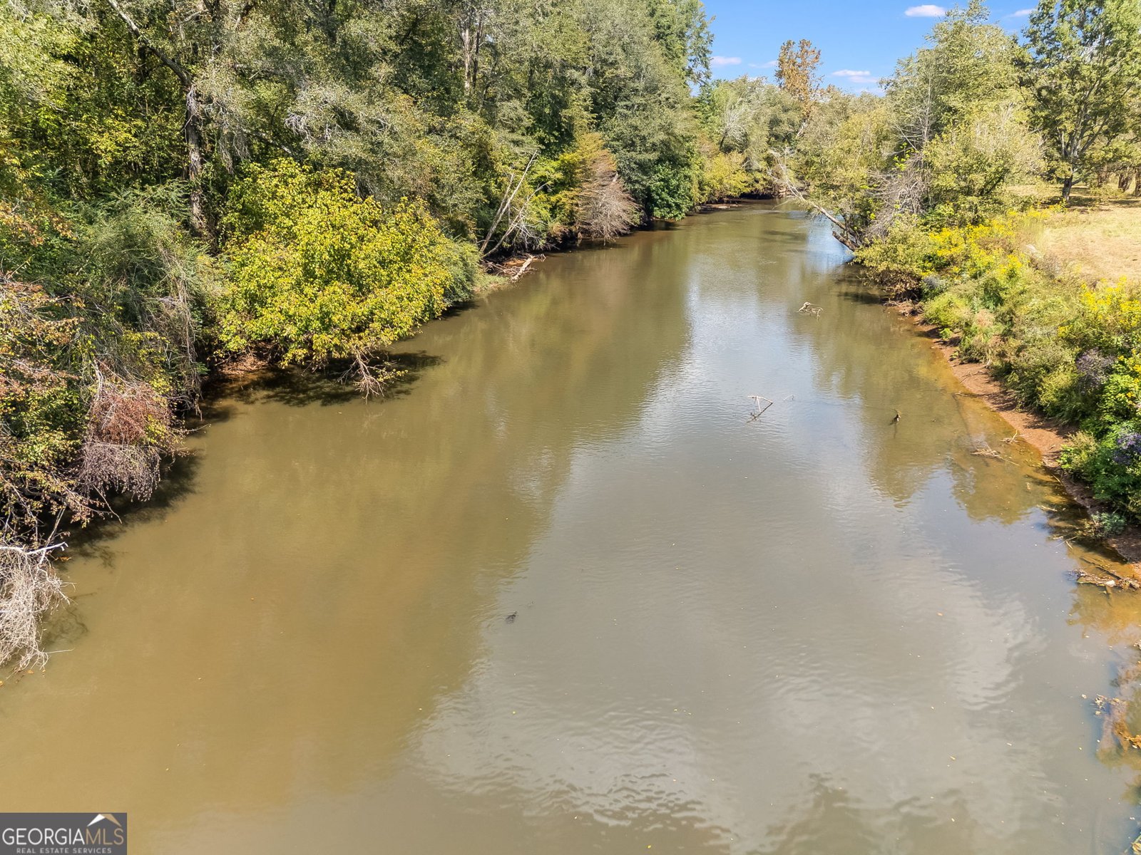 491 County Road 511 Woodland - 31