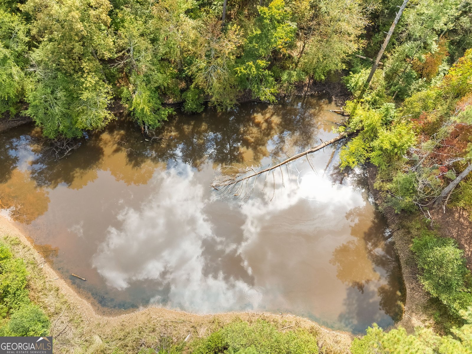 491 County Road 511 Woodland - 34