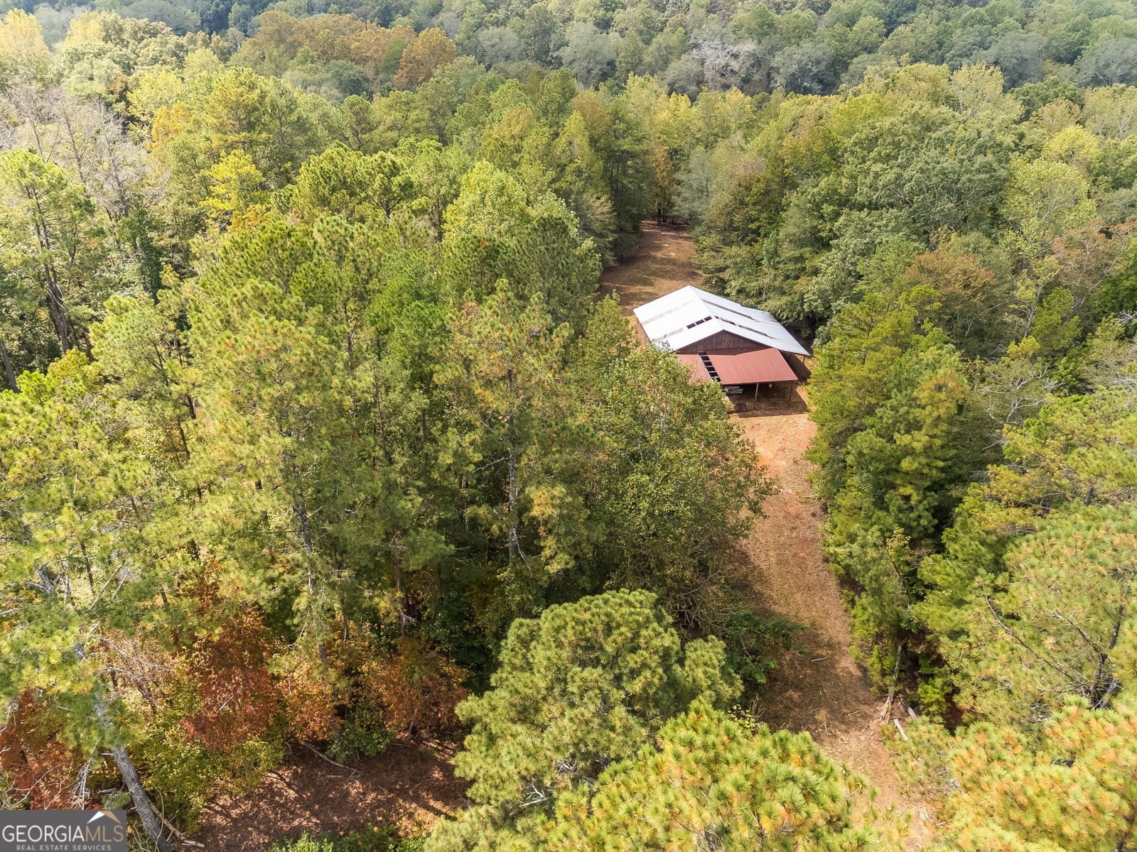 491 County Road 511 Woodland - 35