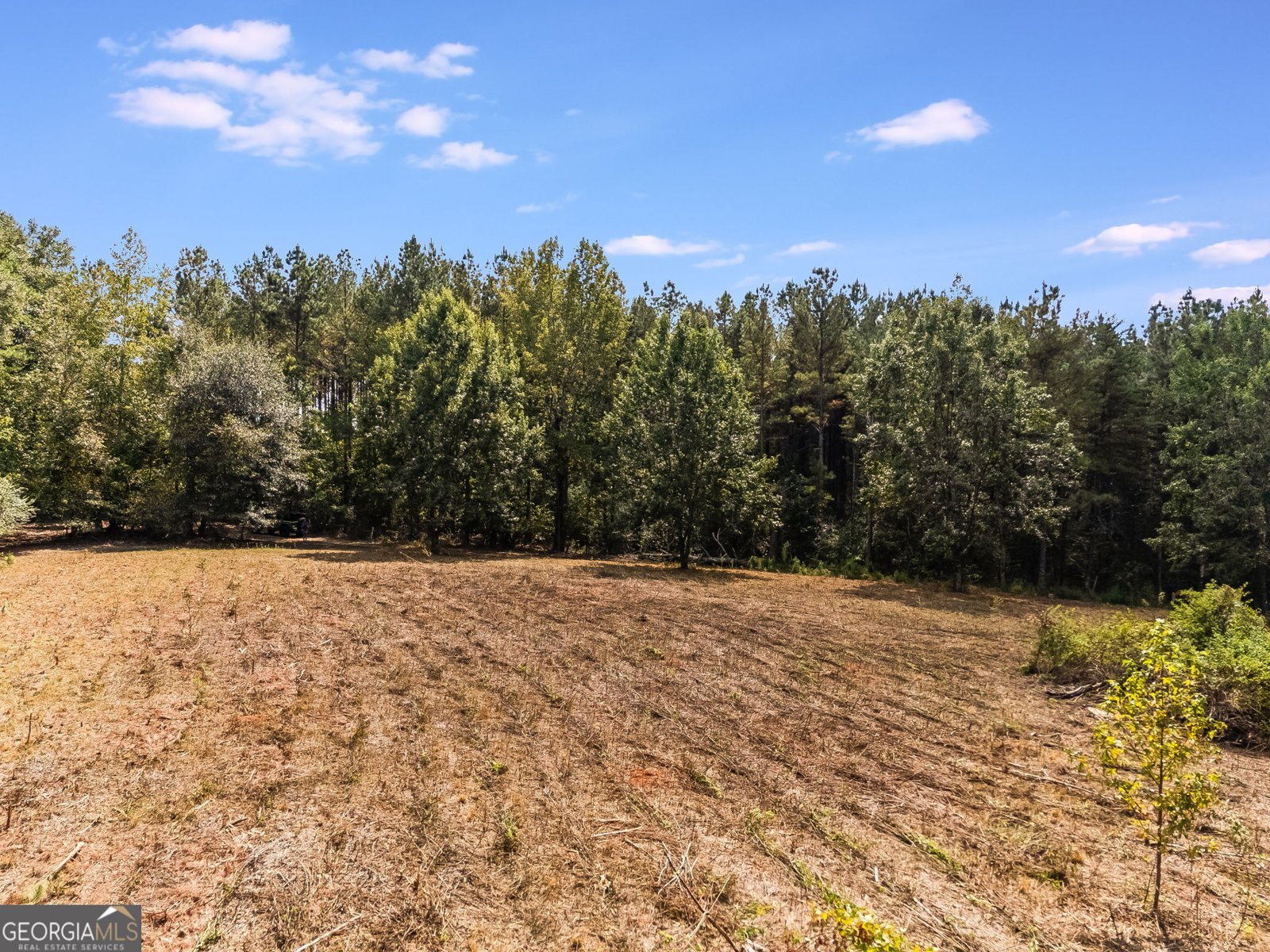 491 County Road 511 Woodland - 38