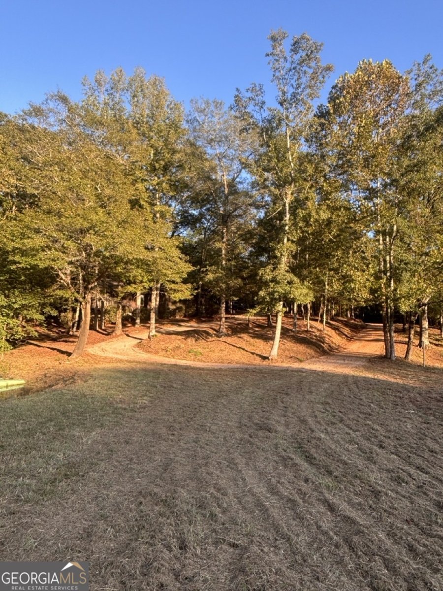 491 County Road 511 Woodland - 41