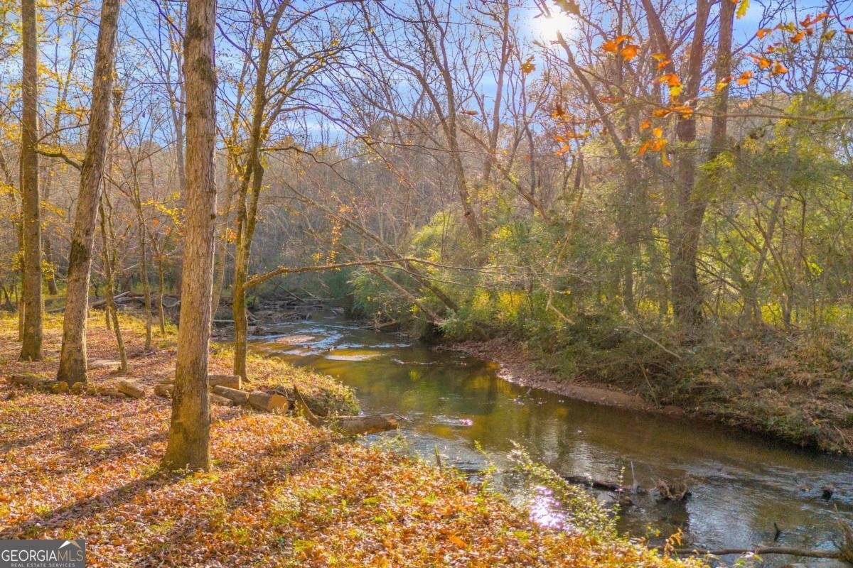 1670 Alcovy River Drive Dacula - 42