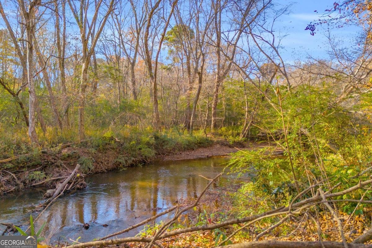 1670 Alcovy River Drive Dacula - 43