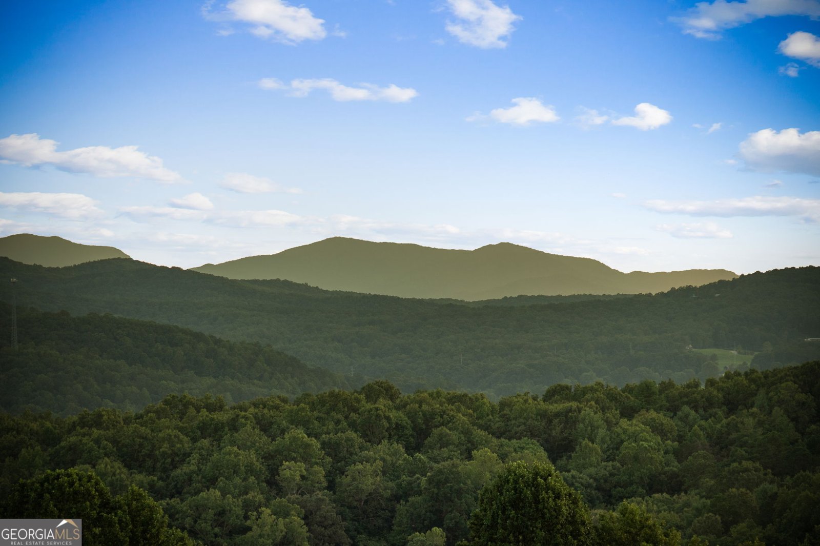 261 Big Valley Drive Morganton - 59