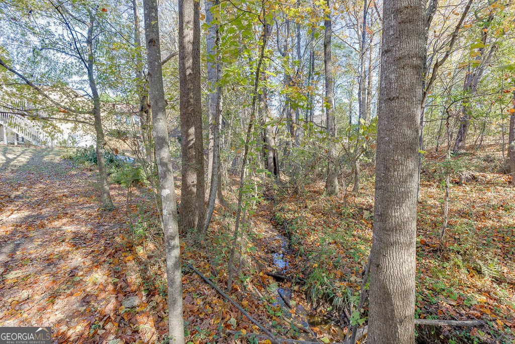 2032 Shin Court Buford - 3