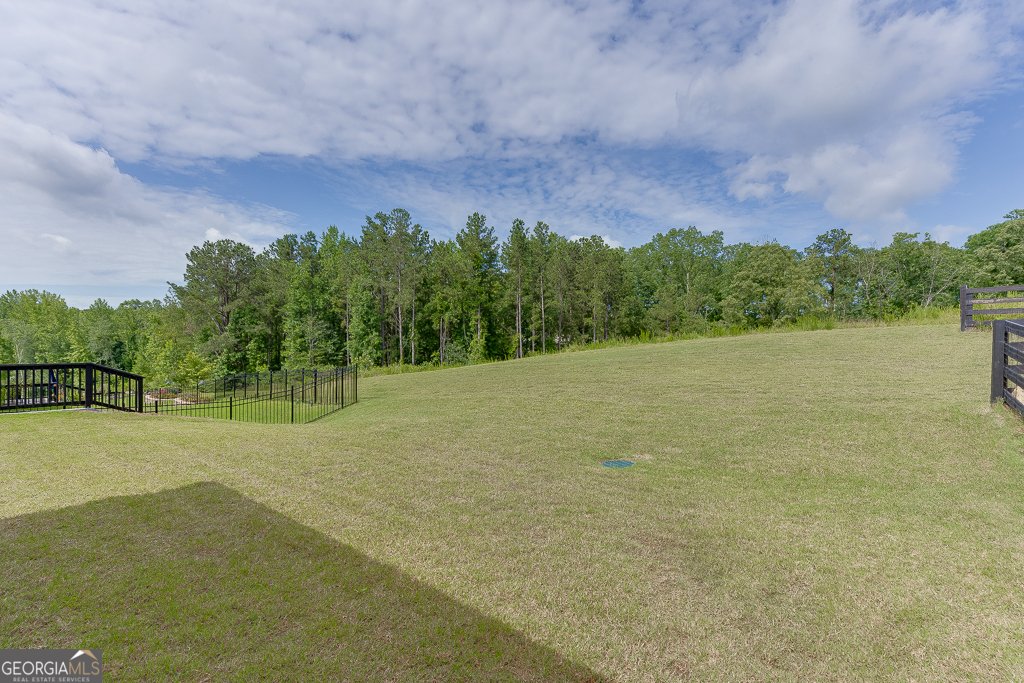 6996 River Rock Drive Flowery Branch - 43