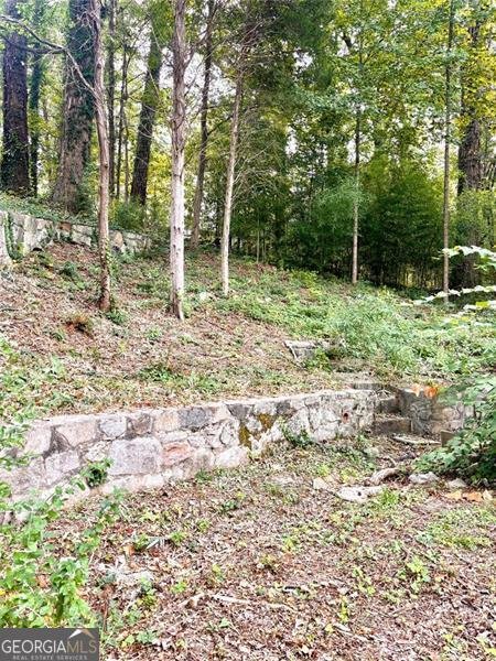 2924 HANDY Atlanta - 54