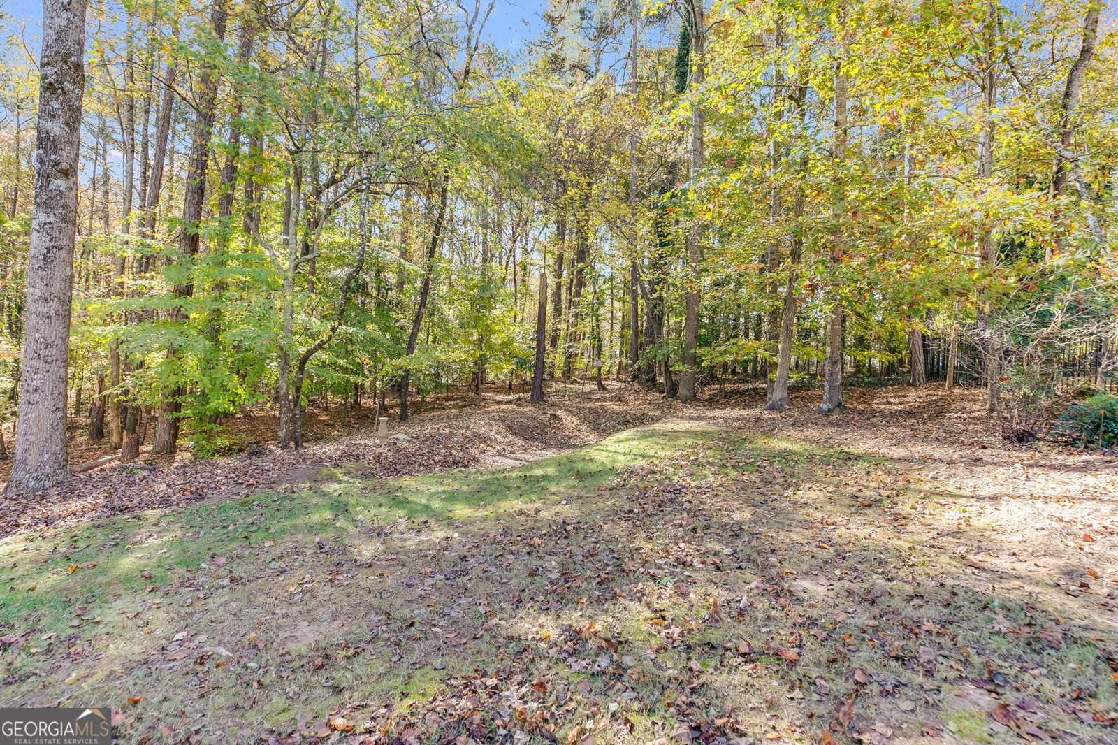 3639 Fowler Ridge Douglasville - 40